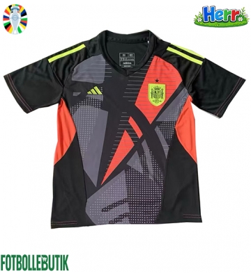 Spanien Målvakt Bortatröja EM 2024 Kortärmad